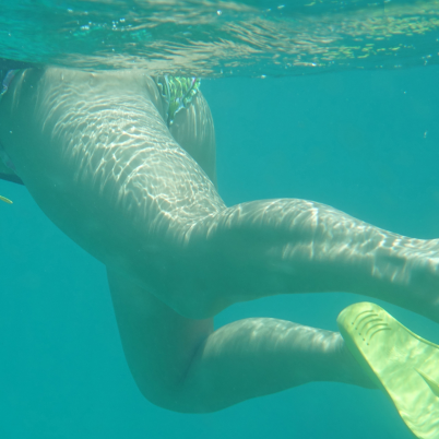 Snorkelers